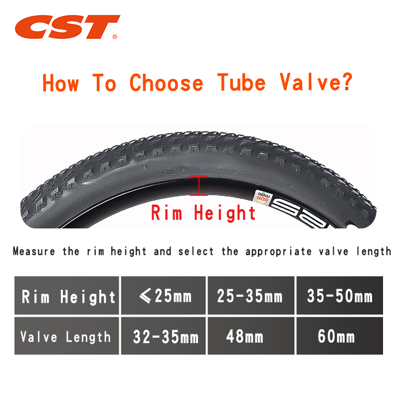 2 個 CST バイクインナーチューブ 20 インチ 451 - Inner Tube 700C のレビューと価格